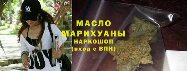 индика Протвино