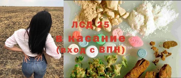 сатива Белая Холуница